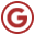 Google icon